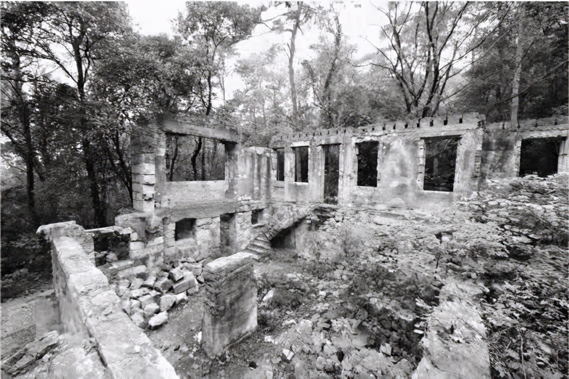 1937年南京保卫战紫金山碉堡,紫金山战役伤亡多少人