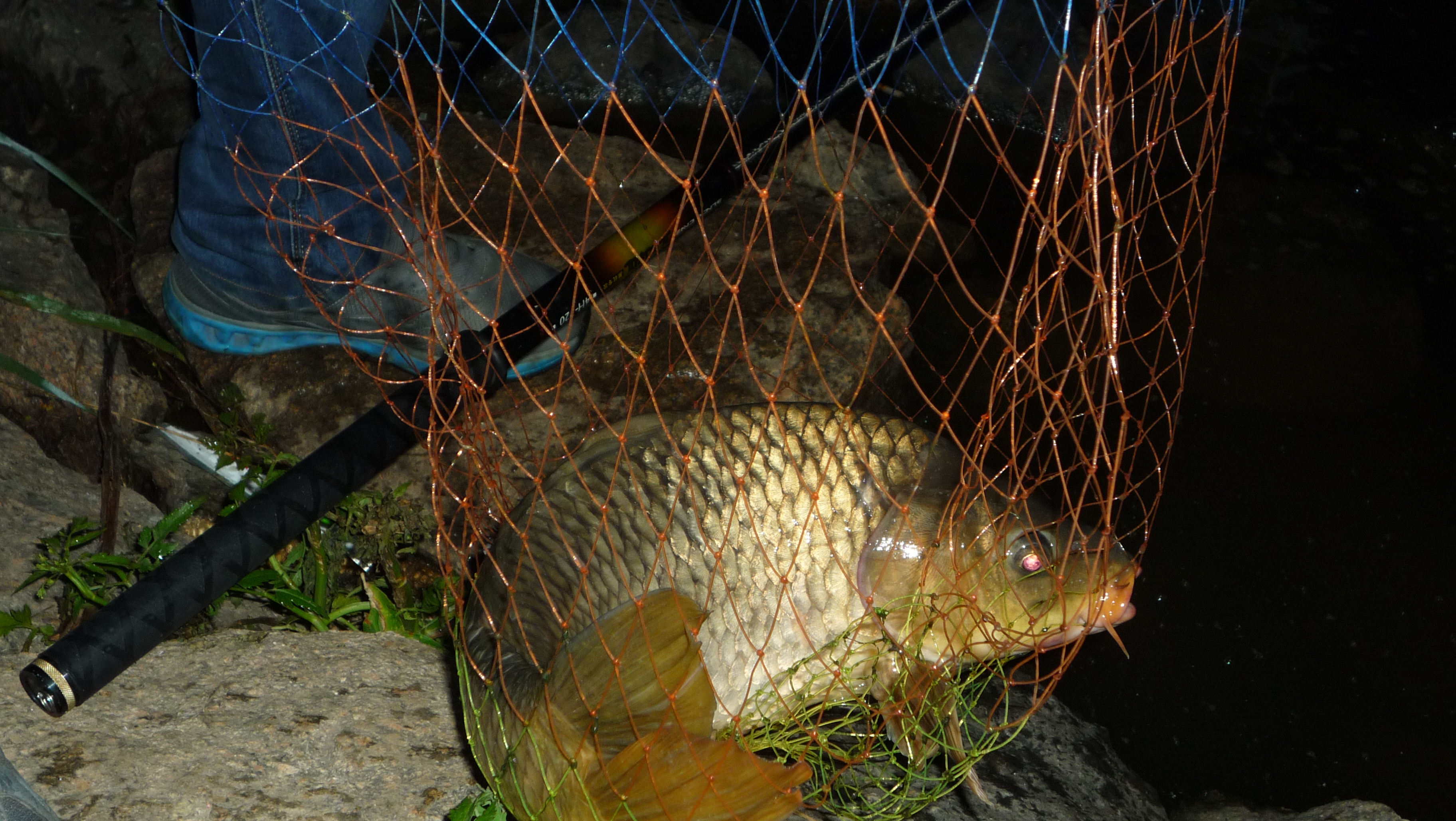 长竿钓大鲤鱼,长竿钓鲫鱼也可以钓大物吗