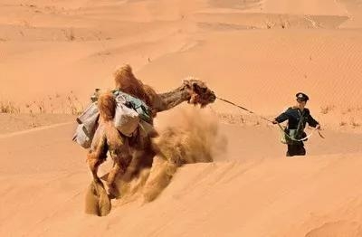 中国邮政速度为什么这么慢,中国邮政快递包裹为啥慢