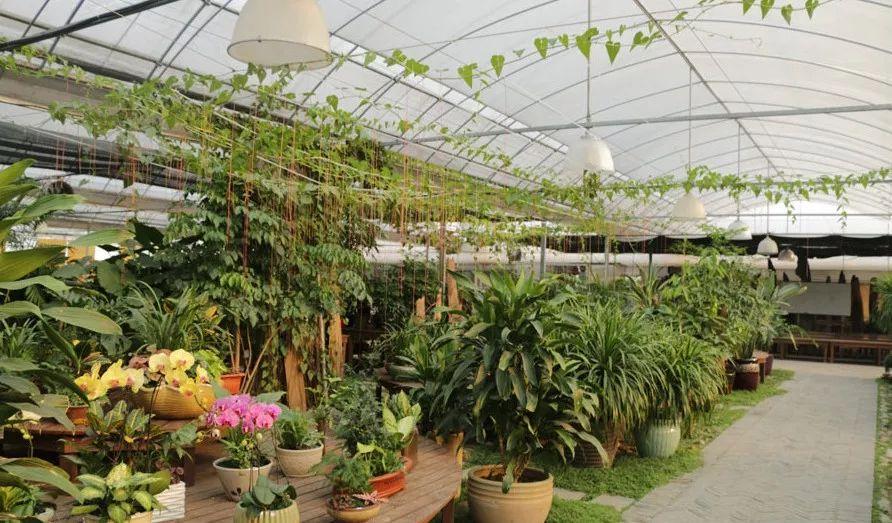 致敬最美逆行者活动效果,致敬各类最美逆行者