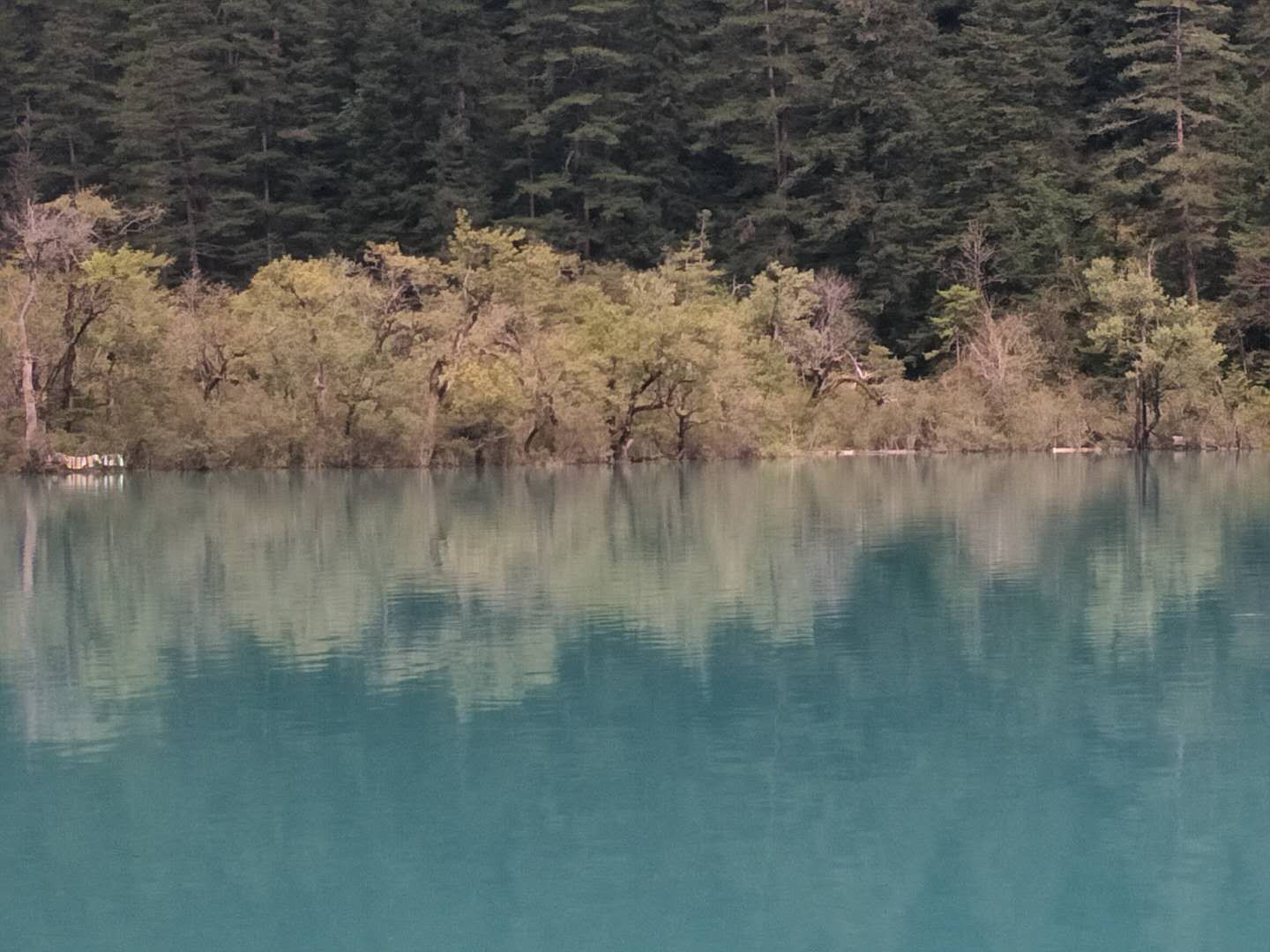 九寨沟旅行行程表图片高清大图,九寨沟之旅全集