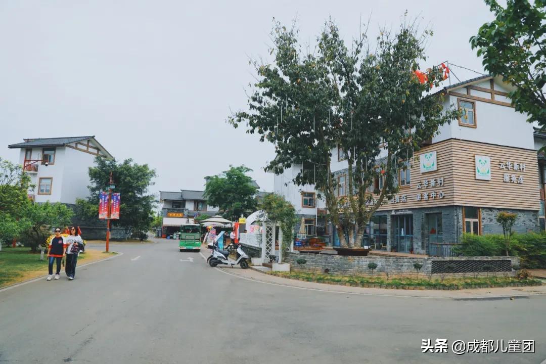 空港运动公园游玩攻略,空港体育公园是空港花田吗