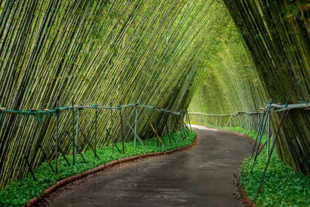 清远粤东第一漂流,清远漂流文化旅游季