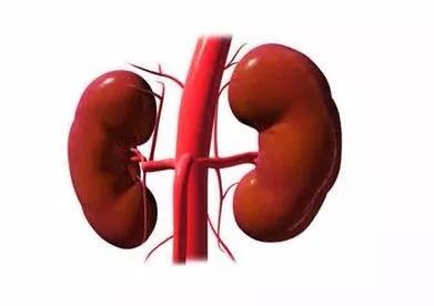 体检发现囊肿和结节,体检报告中的结节囊肿是什么意思