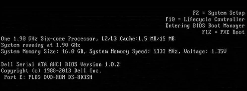 戴尔服务器安装系统步骤图解,戴尔服务器主机系统怎么装