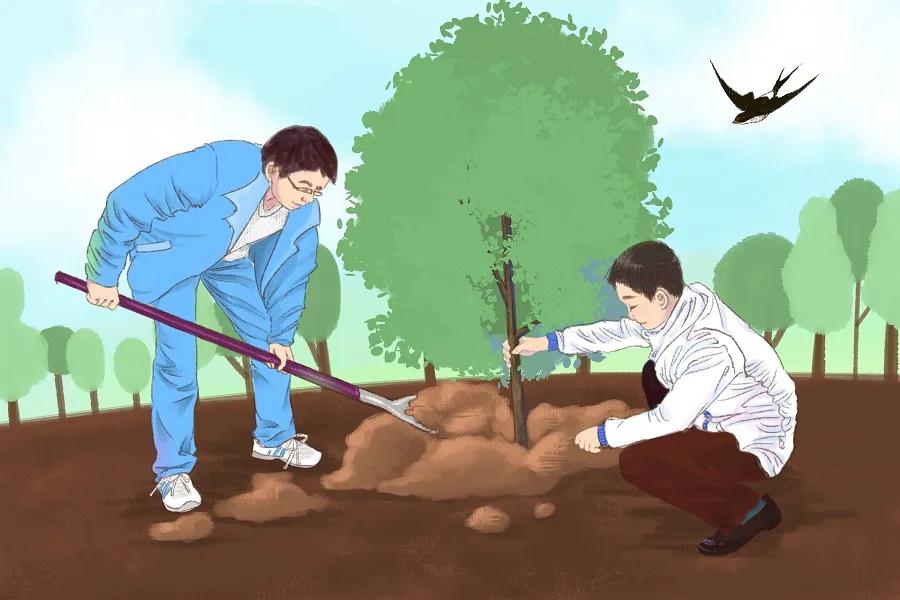 扫墓祭祖方法视频,扫墓祭祖教程