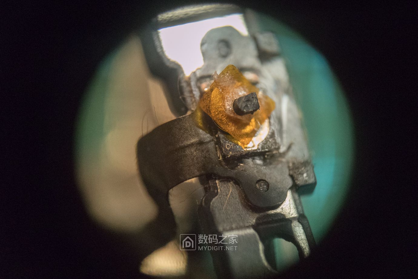 把未拆封的iphone4做成标本,iphone4被做成标本