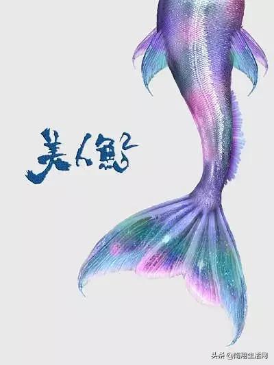 嘉定电影院2021年4月排片表,嘉定影院今日排片表