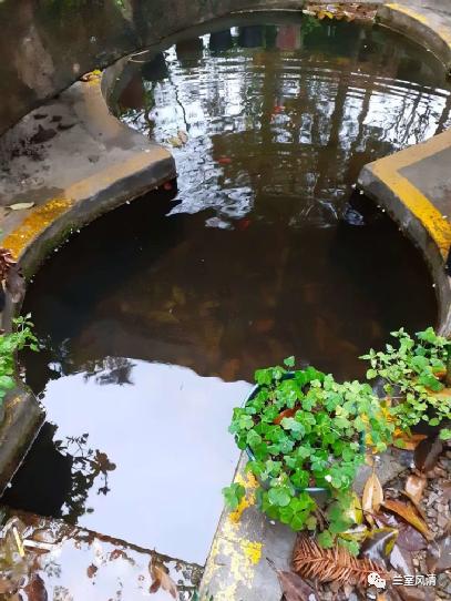 葫芦山庄入口,葫芦山庄玉葫芦