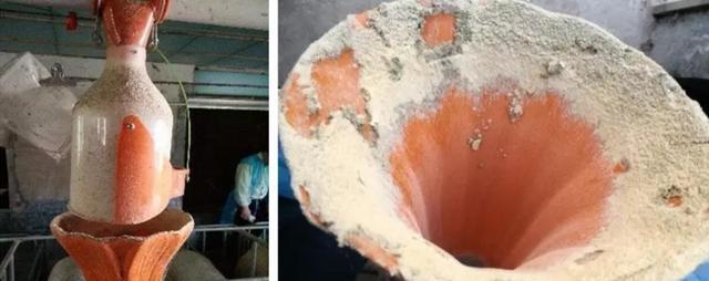 母猪产仔不理想，咋回事？老兽医总结了这5点，值得养殖户一看