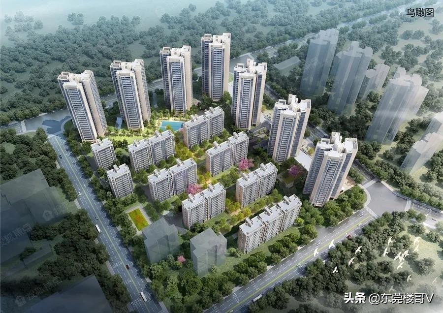 沙田碧桂园柏丽湾二期怎么样,沙田碧桂园柏丽湾入住率高不高