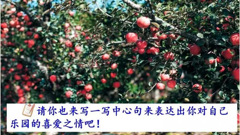 部编版四下习作我的乐园教材分析,我的乐园作文四年级400字范文院子