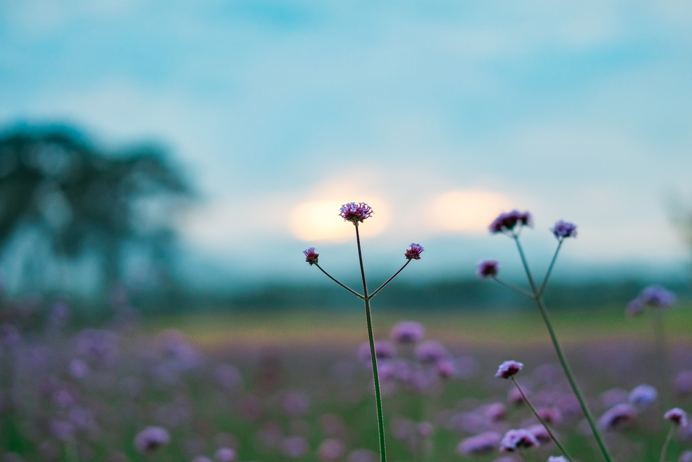 云南腾冲9月旅游攻略,云南腾冲旅游攻略秋天
