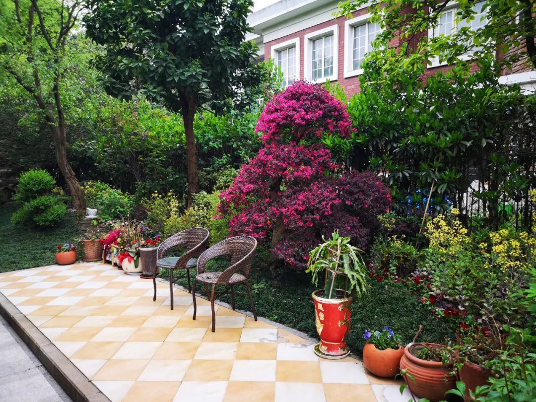 羡慕!快来看看江阴申港街道这些“美丽”榜样