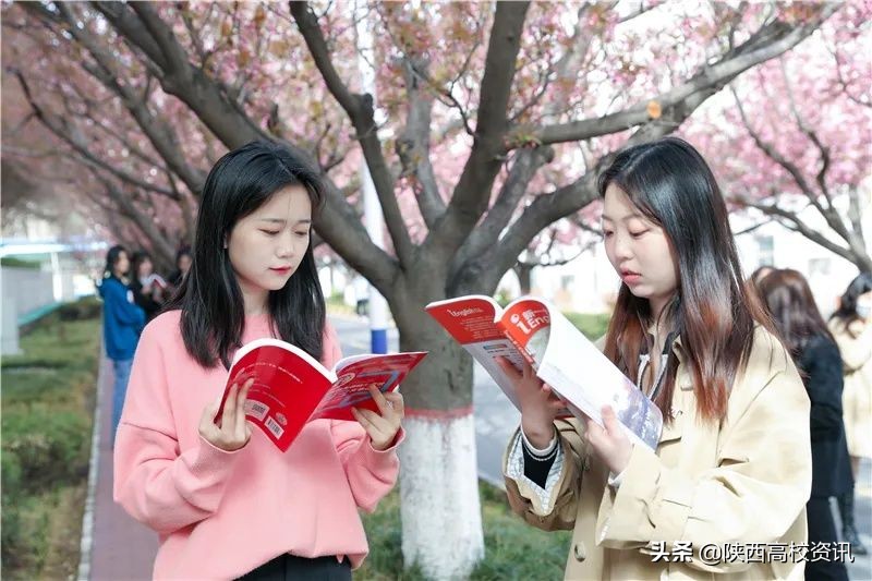 陕西省国家级一流本科专业第三批,三大国家级一流本科专业