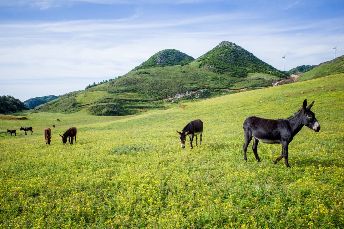 露营地看日出点推荐,藏在深山里的绝美露营点