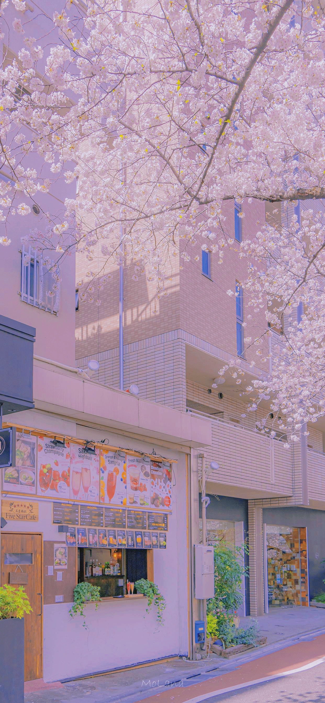 精选壁纸图集第378期,壁纸合集绝对有你喜欢的