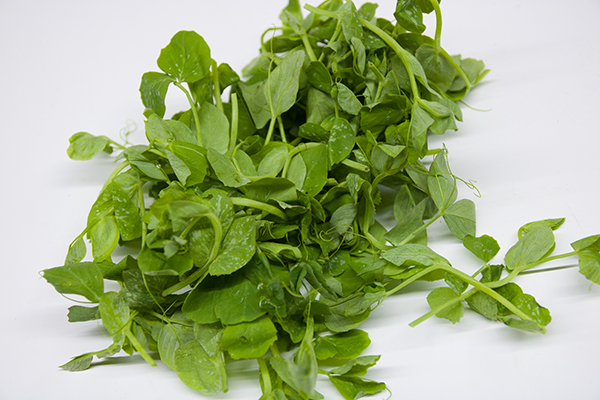 o型血的人喜欢吃肉,o型血的人不妨多吃肉