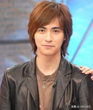 f4流星花园台湾版完整解说,f4流星花园台湾版长发是谁