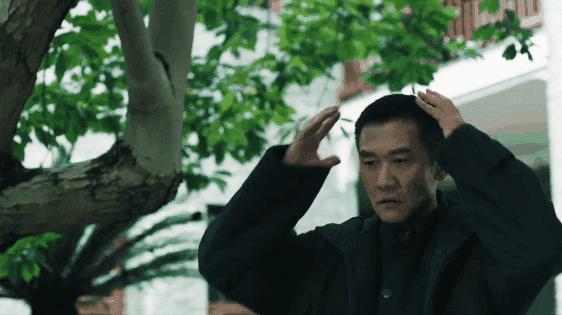 十年来经典国剧,三十年来的国剧翘楚