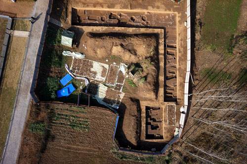 蜜蜂弱小蜂群如何快速发展,弱小的蜜蜂