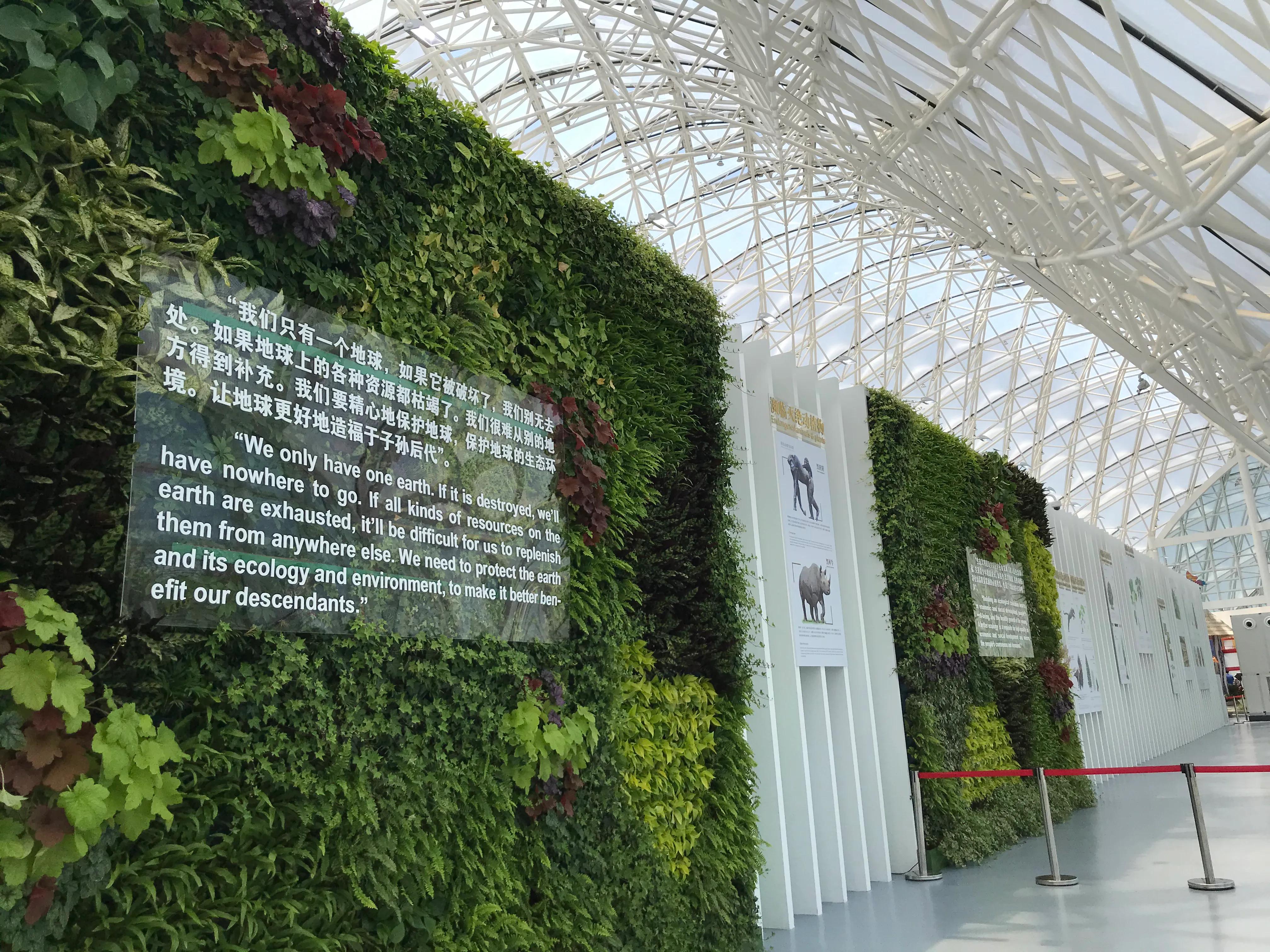 2021扬州世园会园艺微景观创作国际竞赛-世园会国际馆