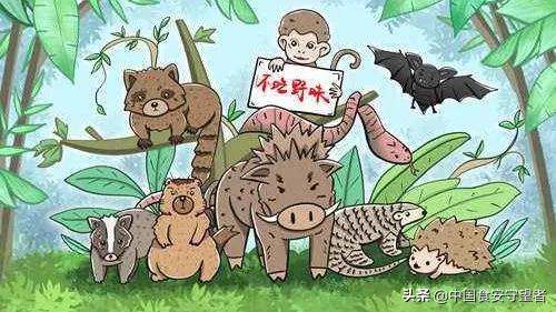 40种野生动物是哪些不能吃的,能吃的野生动物有哪些