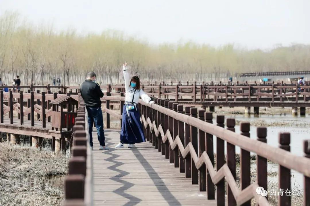 准备好了吗带你畅游河南,武汉适合踏青的公园推荐