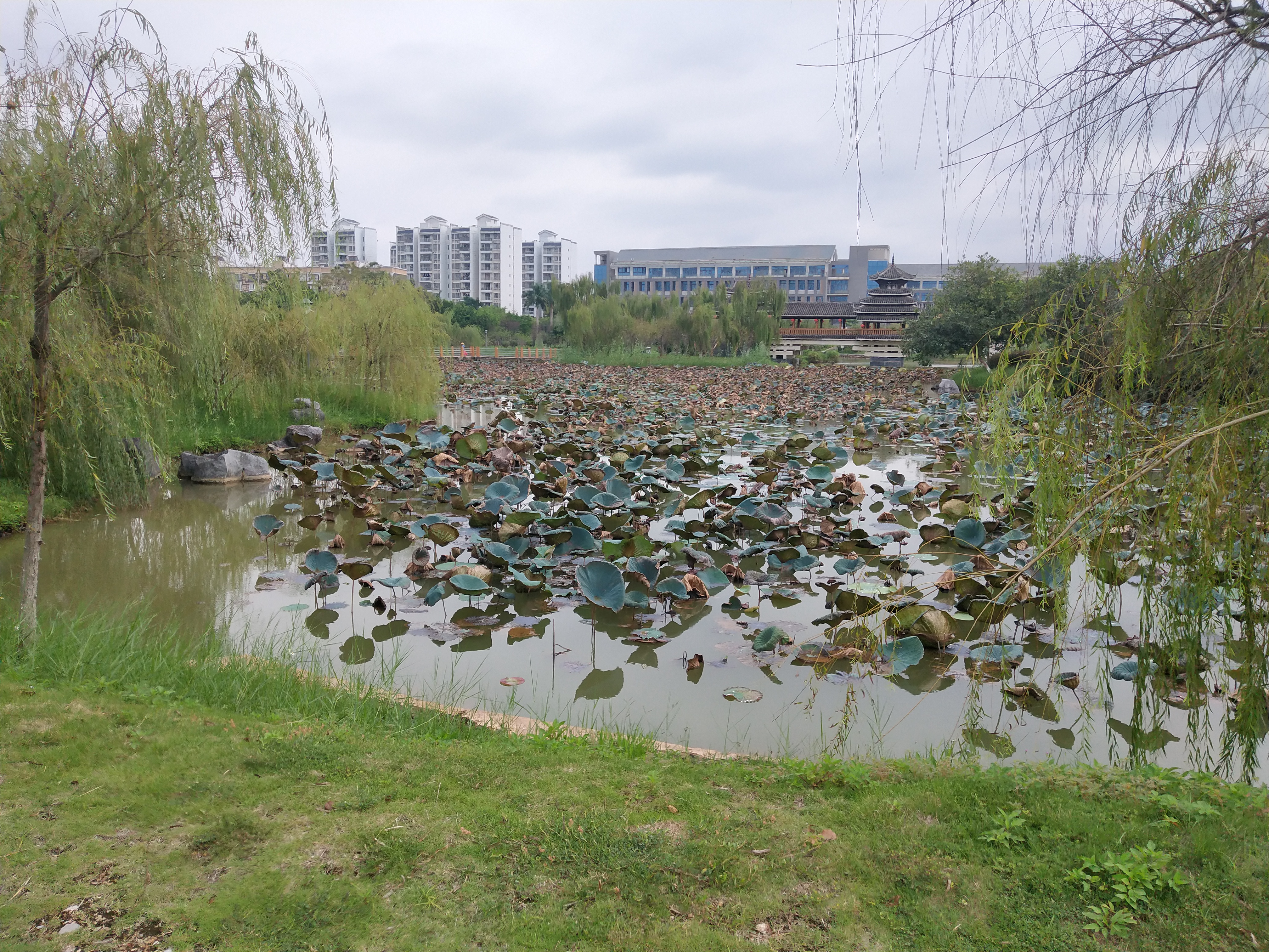 南宁不孤湖景区导览图,广西南宁必去十大景点不要钱的