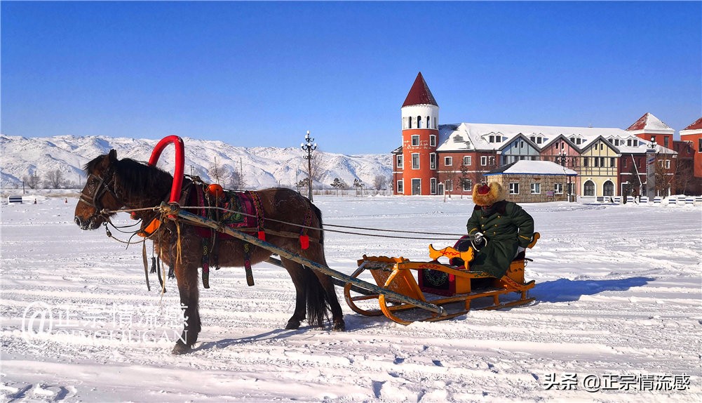 诗与远方：冬游喀纳斯