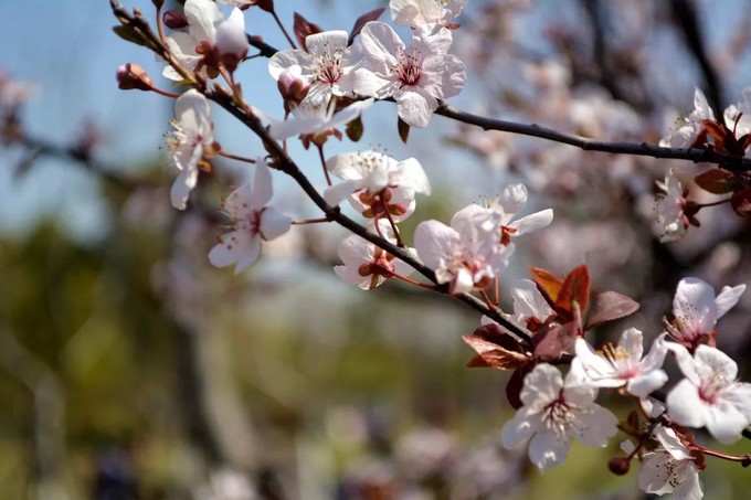 上海地铁附近景点推荐,上海地铁15号线沿线有哪些景点