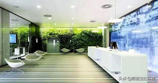 办公室工业风绿色植物装饰效果,办公室室内绿植绿化设计部分展示