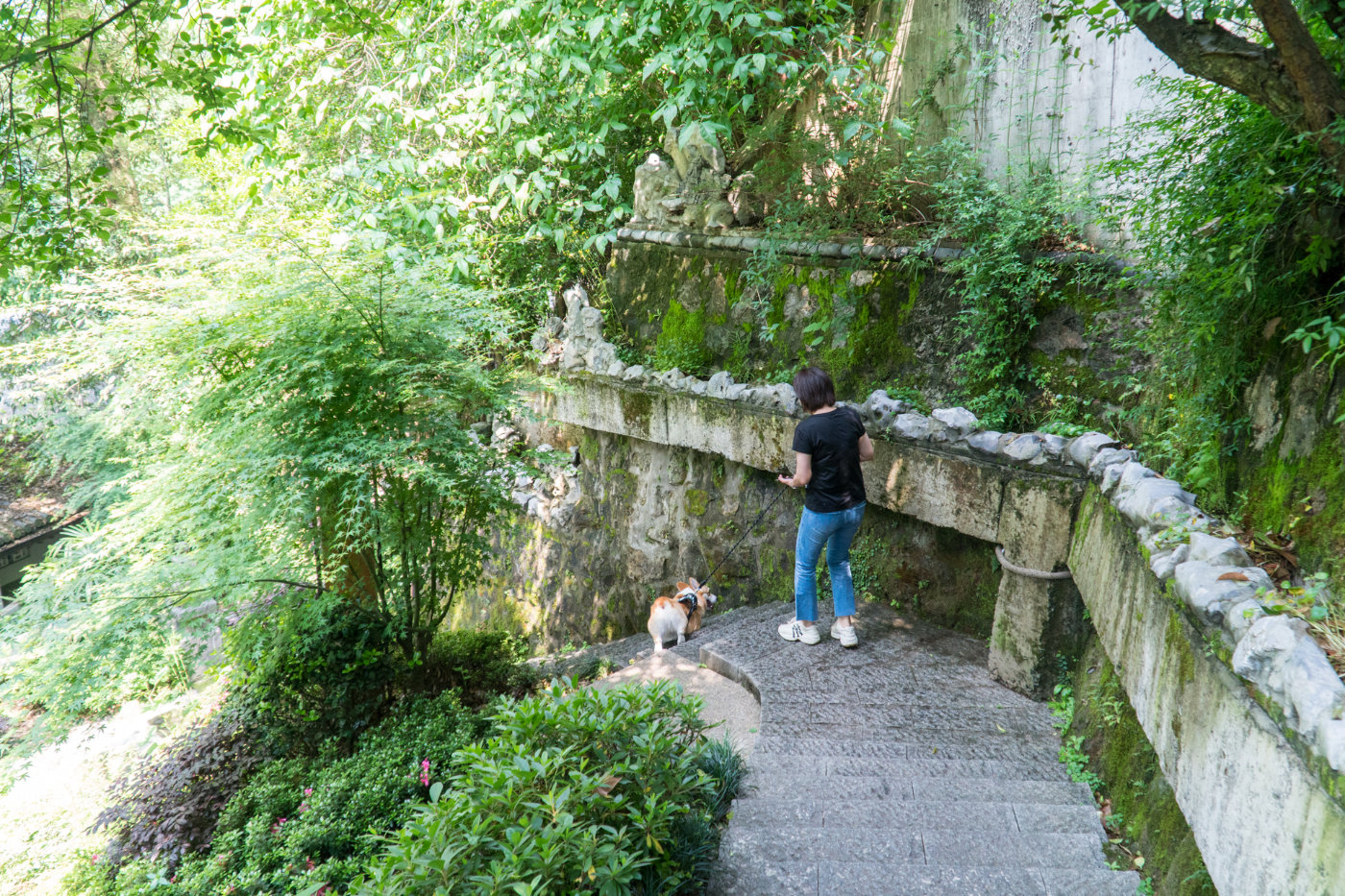 冬天雅致梦溪山庄杭州九溪店,雅致梦溪山庄杭州九溪店