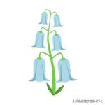 成人看图学英语之各种类型的花