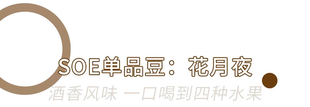 终于！质馆咖啡重回茂名路，还是记忆里的那一杯…