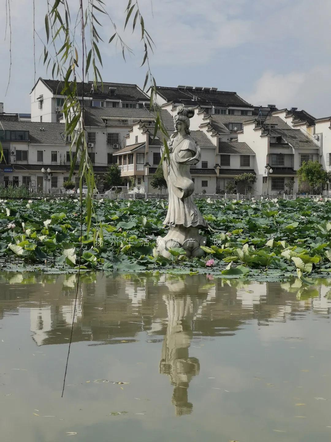 扬州的老城区有什么好玩的,老城区新增商业