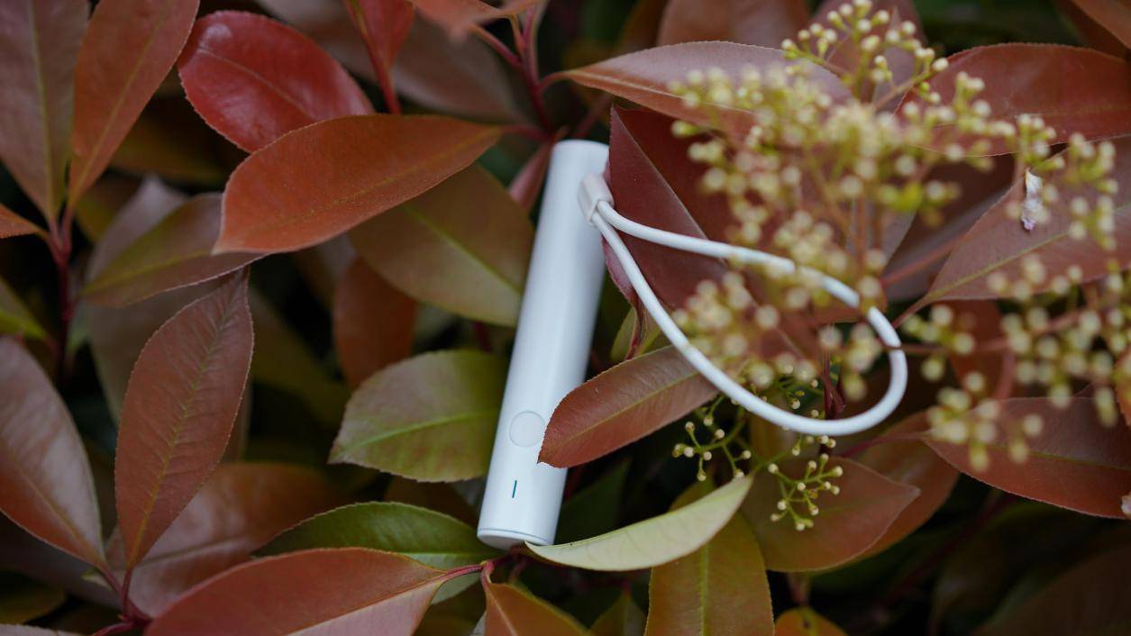 蚊虫叮咬的最佳止痒方法,蚊虫叮咬红肿物理怎么消肿止痒