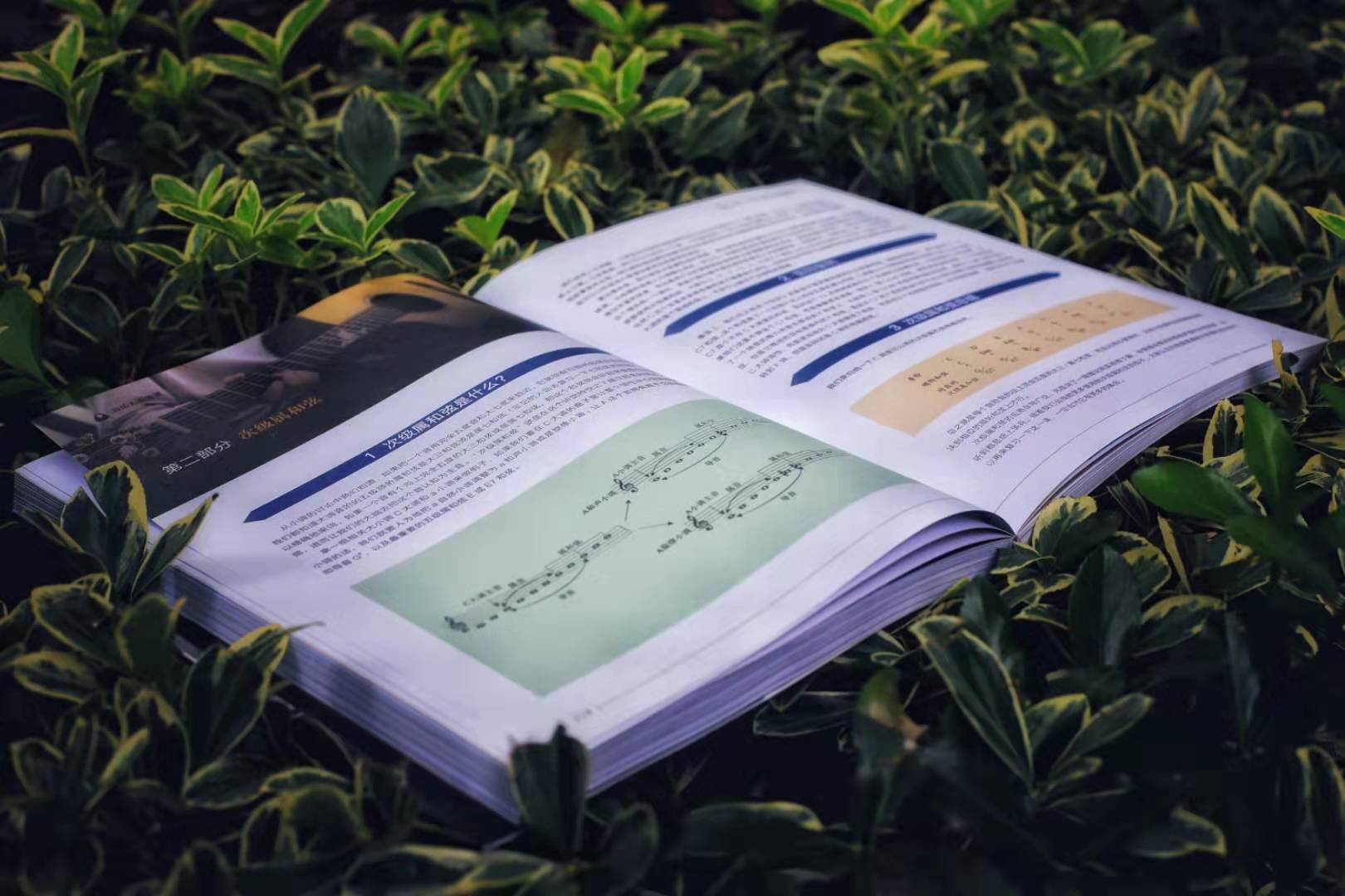 零差评！销量与口碑齐飞！《音乐人吉他课》实体书已发货