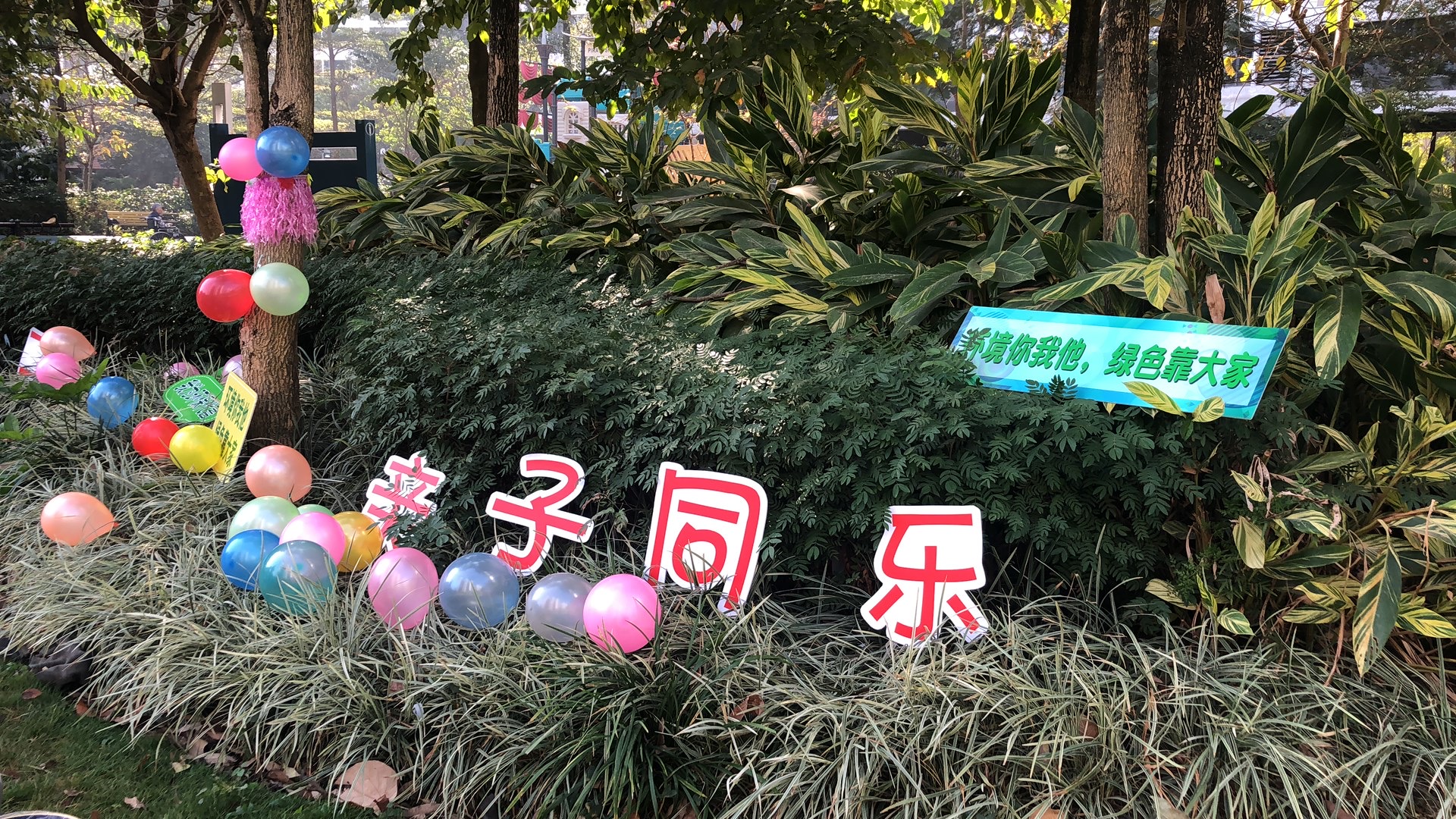 亲亲小二,我们约会吧!——记中信小二班环保主题野餐趴