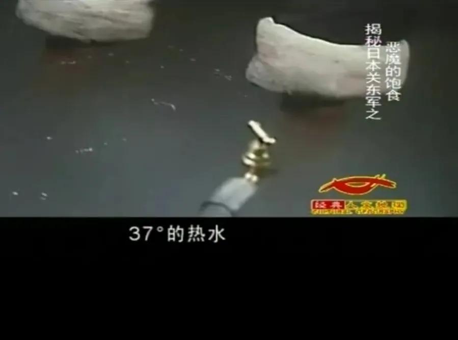 日军731部队冻伤实验是为了什么,日军731实验照片