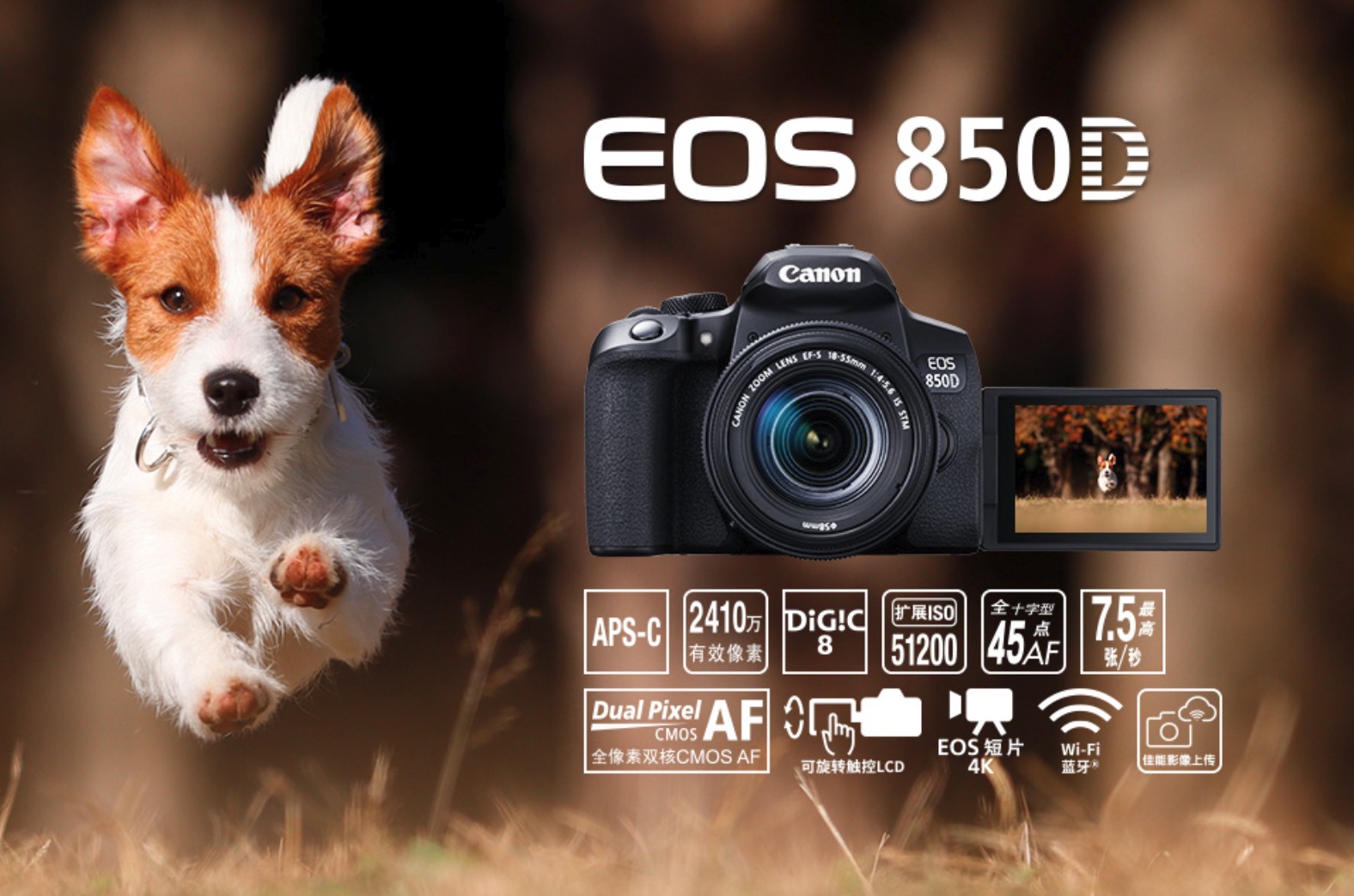 佳能eos850d什么档次,佳能eos850d调什么参数好看