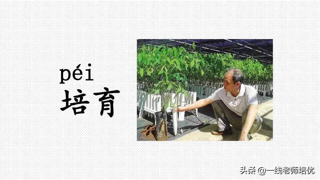 小学二年级上册语文园地四知识点,四年级下册语文语文园地二知识点