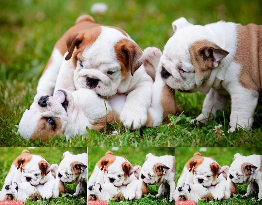 小金刚显示器推荐,2022小金刚显示器推荐