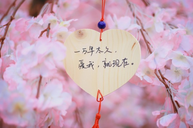 只要和对的人在一起天天是情人节,和懂你的人在一起每天都是情人节