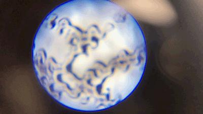 显微镜的价格最便宜的,日本口袋放大120倍显微镜