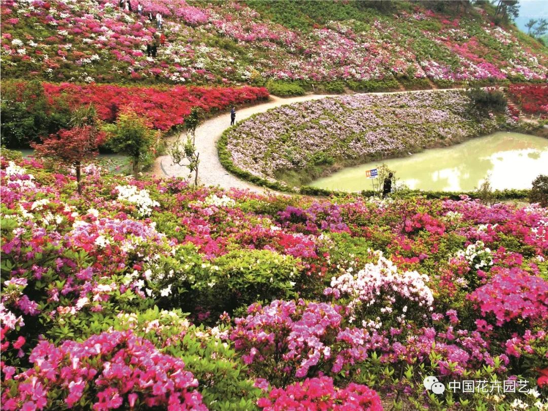 新品种选种的必经之路,加紧培育新品种有哪些