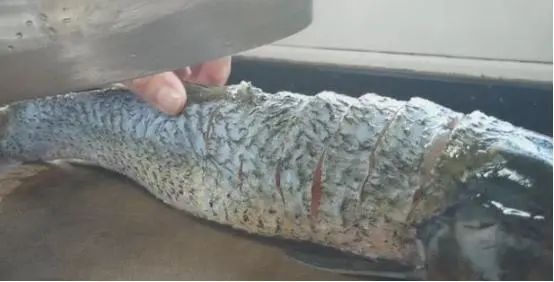 清炖草鱼汤豆腐怎么炖好吃又简单,郫县豆瓣酱炖草鱼豆腐的家常做法