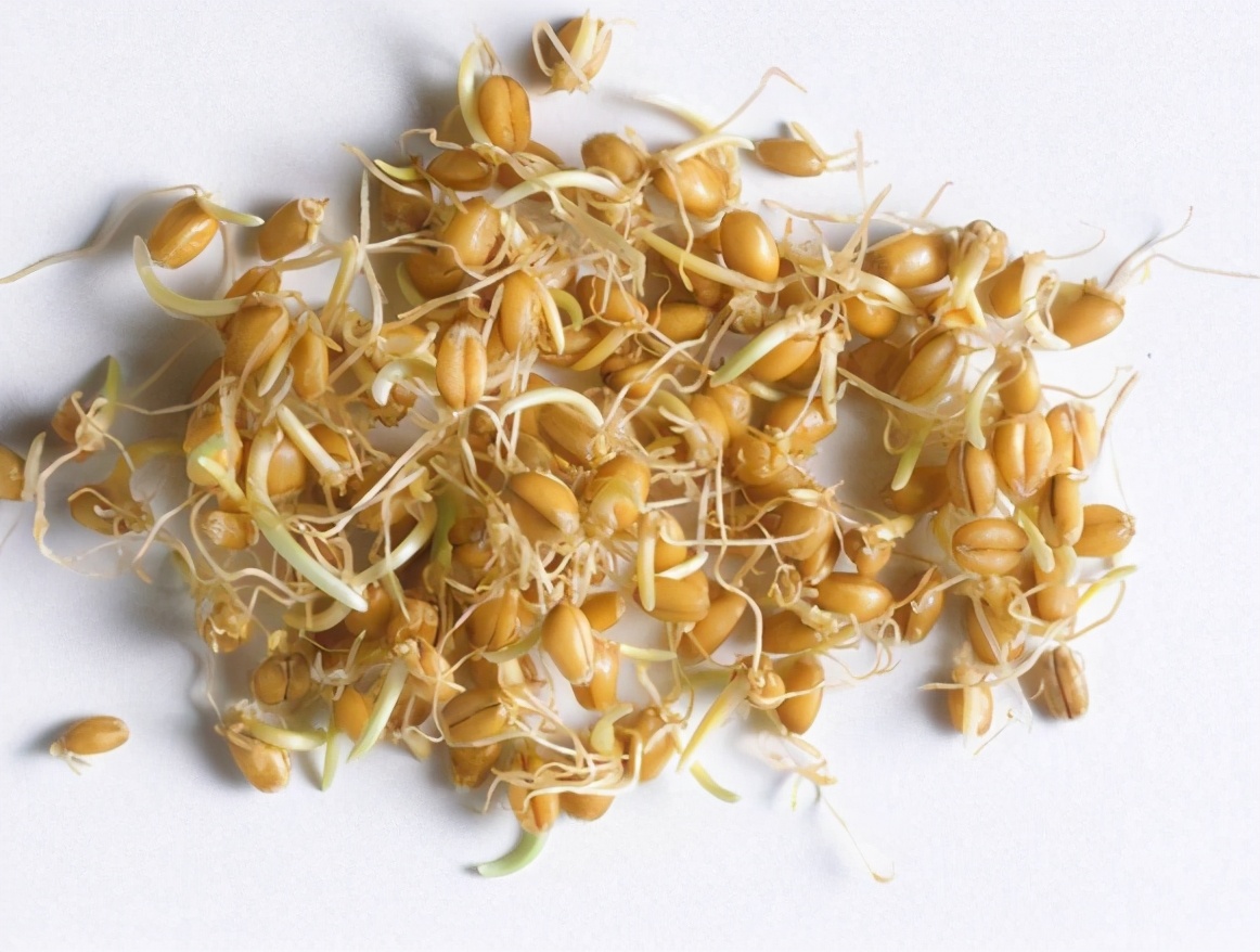 小儿脾虚积食偏方,小儿积食用什么中药方