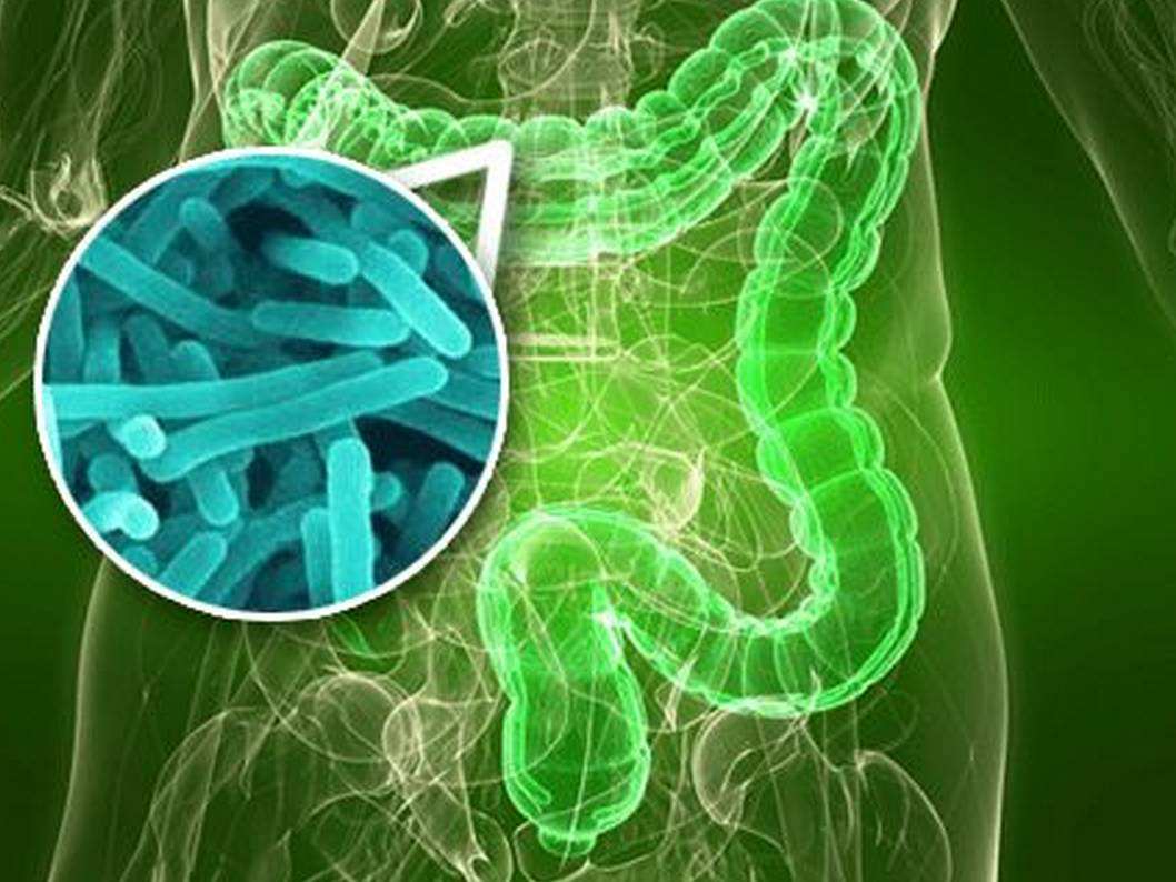 消化不良肠子里一直咕噜会得病吗,肠道蠕动消化不良吃什么药调理