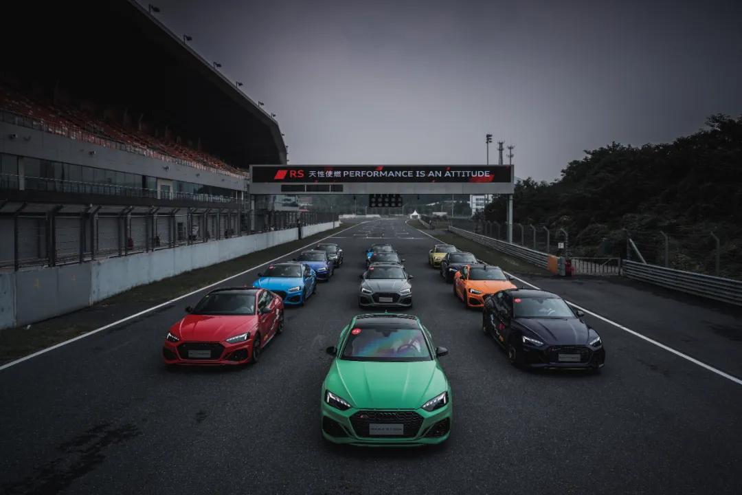 这才是真正的人生赢家,这才是真正的人参枸杞茶